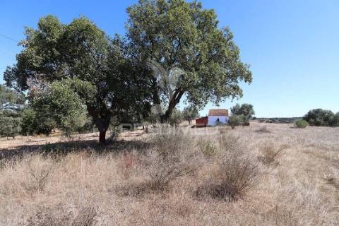 Monte da estrada – o seu refúgio no coração do alentejo