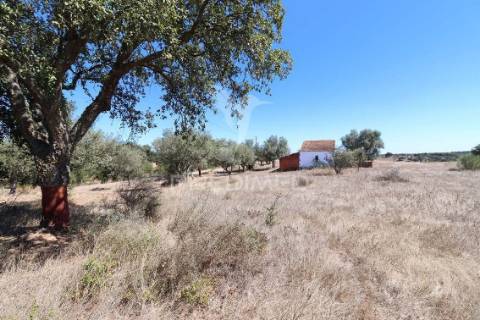 Monte da estrada – o seu refúgio no coração do alentejo