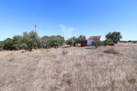 Monte da estrada – o seu refúgio no coração do alentejo