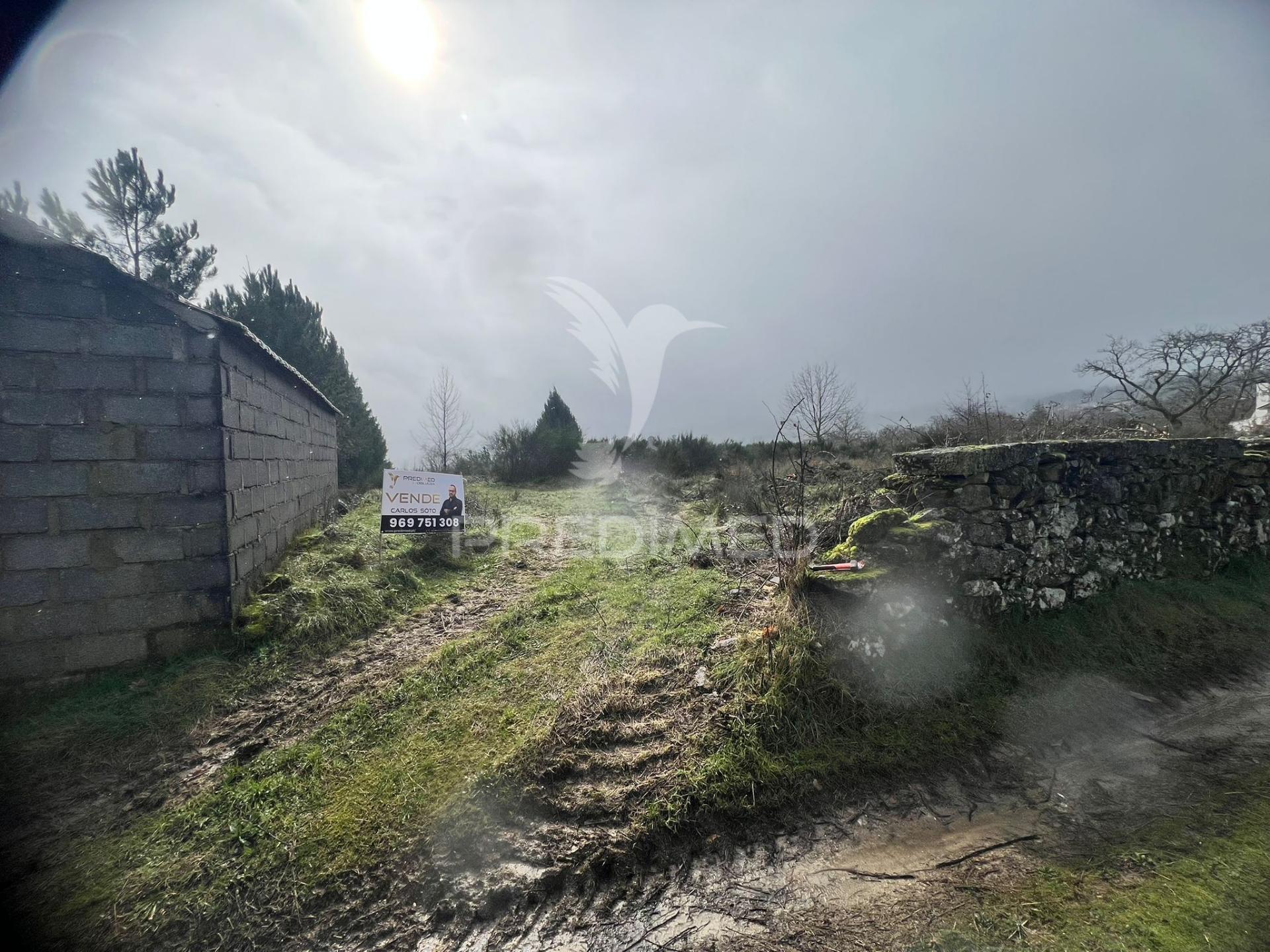 Terreno rustico penela da beira