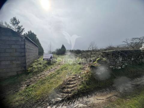 Terreno rustico penela da beira