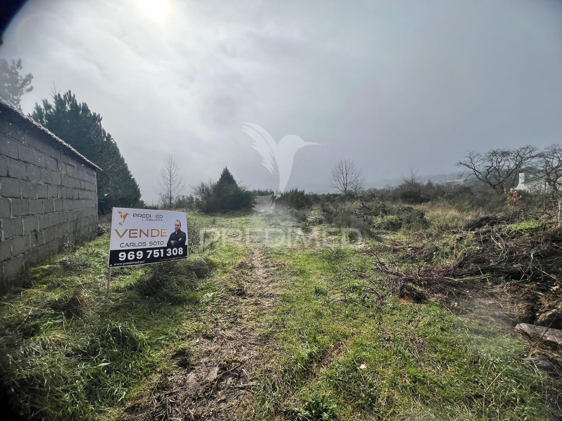 Terreno rustico penela da beira