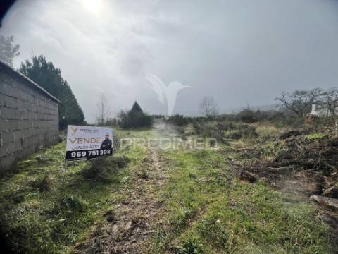 Terreno rustico penela da beira