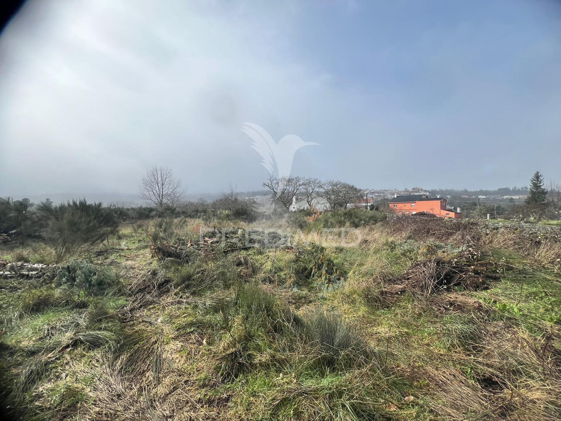 Terreno rustico penela da beira