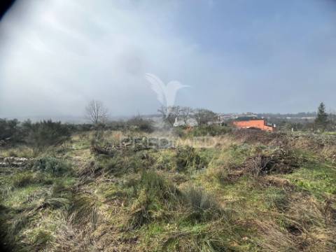 Terreno rustico penela da beira