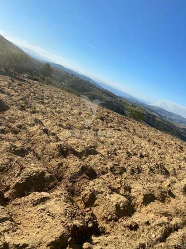 Terreno rustico povoa de penela