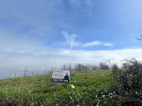 Terreno rustico povoa de penela