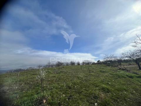 Terreno rustico povoa de penela