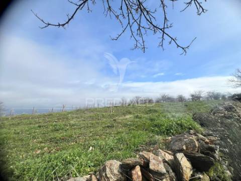 Terreno rustico povoa de penela