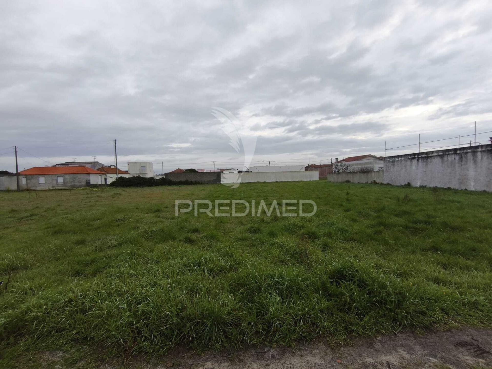 3 terrenos urbanos na gafanha da nazare