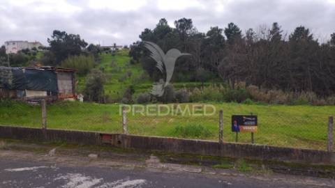 Terreno urbano 782 m2 - pinheiro grande - chamusca
