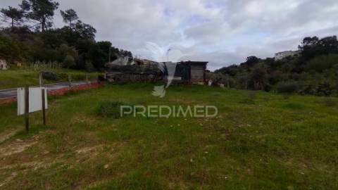 Terreno urbano 782 m2 - pinheiro grande - chamusca