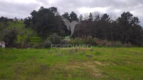 Terreno urbano 782 m2 - pinheiro grande - chamusca