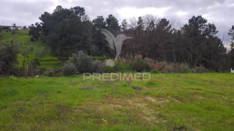 Terreno urbano 782 m2 - pinheiro grande - chamusca