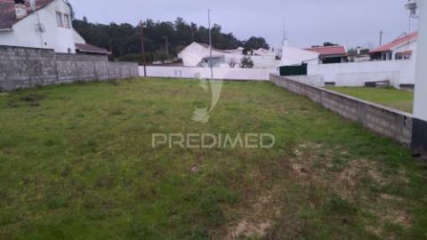 Terreno urbano 502,50 m2 - carregueira - chamusca