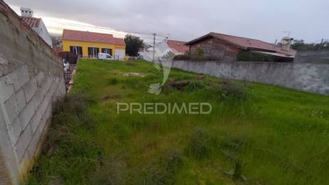 Terreno urbano 317 m2 - carregueira - chamusca