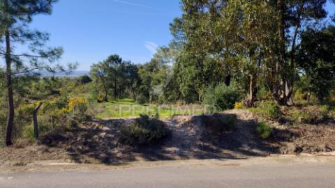 Terreno urbano - prédio misto 4440 m2 - carregueira - chamusca