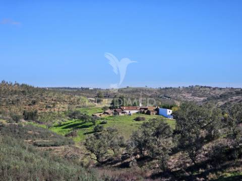 Propriedade com 19 hectares e ruína em castro da cola, ourique
