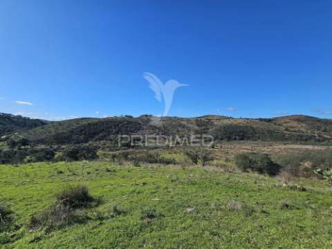 Propriedade com 19 hectares e ruína em castro da cola, ourique