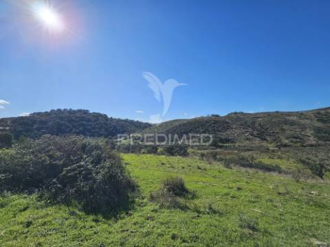 Propriedade com 19 hectares e ruína em castro da cola, ourique