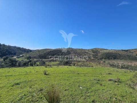 Propriedade com 19 hectares e ruína em castro da cola, ourique