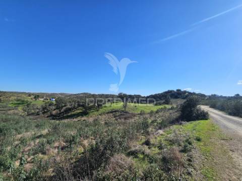 Propriedade com 19 hectares e ruína em castro da cola, ourique