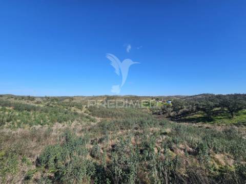 Propriedade com 19 hectares e ruína em castro da cola, ourique