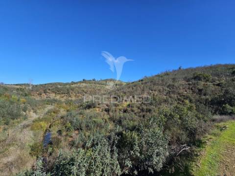 Propriedade com 19 hectares e ruína em castro da cola, ourique