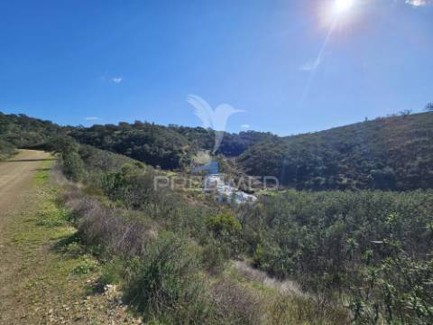 Propriedade com 19 hectares e ruína em castro da cola, ourique