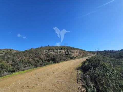 Propriedade com 19 hectares e ruína em castro da cola, ourique