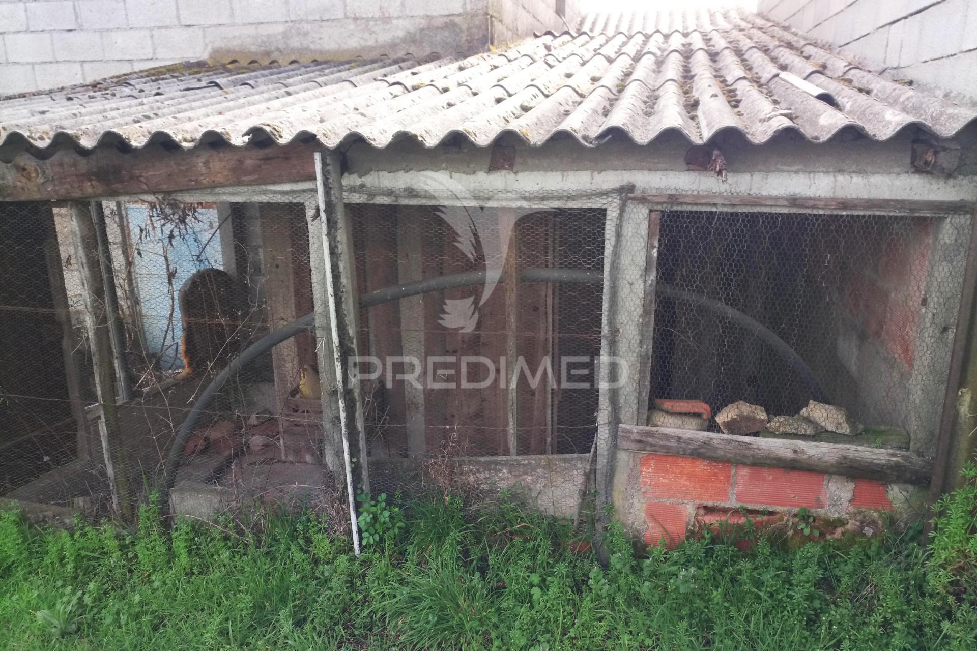 Quinta com potencial de construção | +11.000 m² | alcafache – moimenta do dão