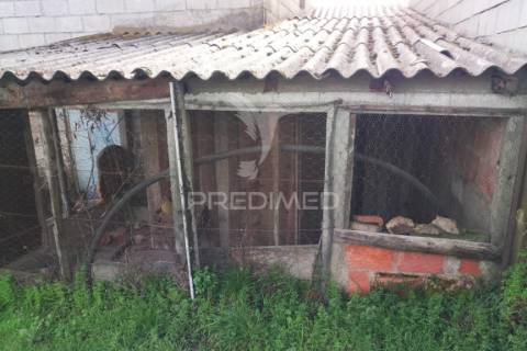 Quinta com potencial de construção | +11.000 m² | alcafache – moimenta do dão