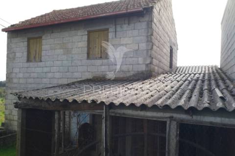 Quinta com potencial de construção | +11.000 m² | alcafache – moimenta do dão