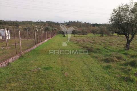 Quinta com potencial de construção | +11.000 m² | alcafache – moimenta do dão