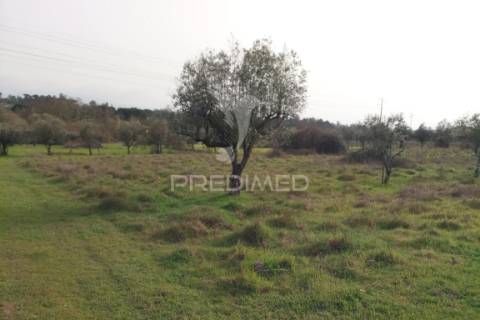 Quinta com potencial de construção | +11.000 m² | alcafache – moimenta do dão