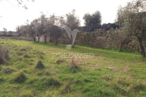 Quinta com potencial de construção | +11.000 m² | alcafache – moimenta do dão