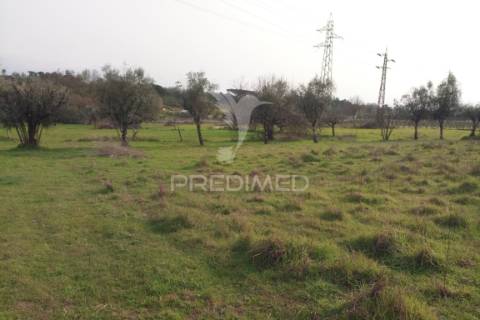 Quinta com potencial de construção | +11.000 m² | alcafache – moimenta do dão