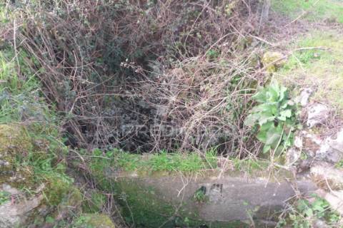 Quinta com potencial de construção | +11.000 m² | alcafache – moimenta do dão