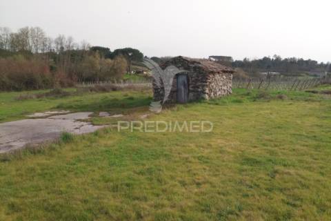 Quinta com potencial de construção | +11.000 m² | alcafache – moimenta do dão