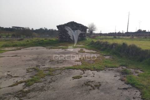 Quinta com potencial de construção | +11.000 m² | alcafache – moimenta do dão