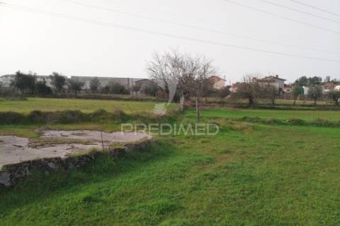 Quinta com potencial de construção | +11.000 m² | alcafache – moimenta do dão