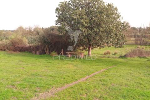 Quinta com potencial de construção | +11.000 m² | alcafache – moimenta do dão