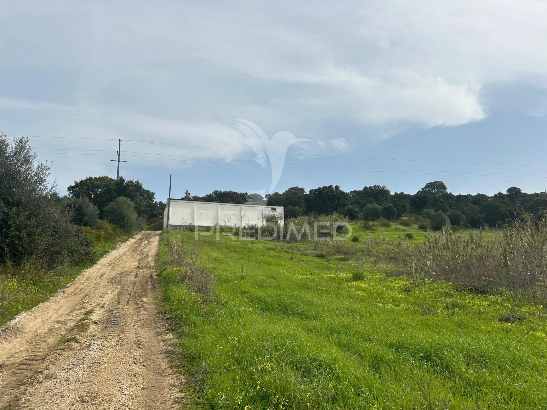 Armazém com terreno em aveiras de cima