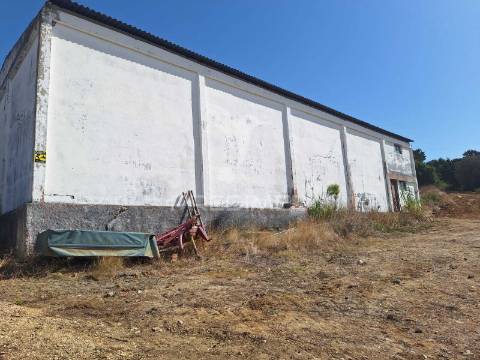 Armazém com terreno em aveiras de cima