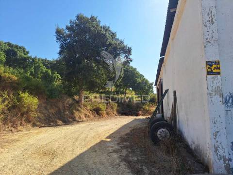 Armazém com terreno em aveiras de cima