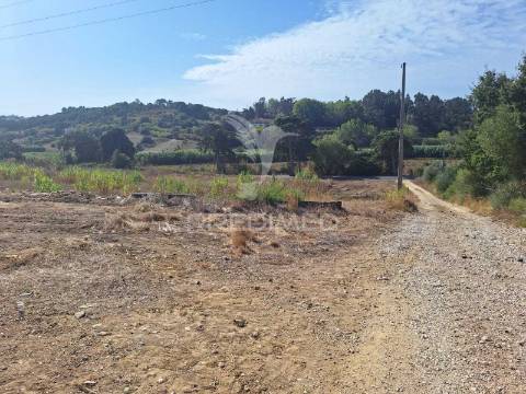 Armazém com terreno em aveiras de cima