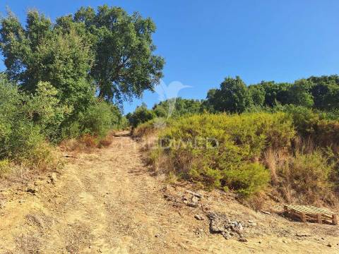 Armazém com terreno em aveiras de cima