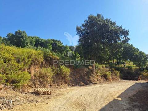 Armazém com terreno em aveiras de cima