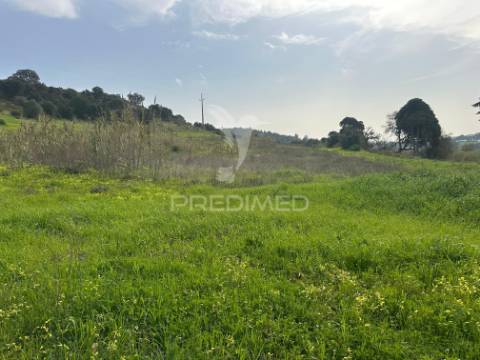 Armazém com terreno em aveiras de cima