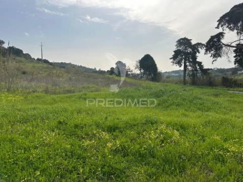 Armazém com terreno em aveiras de cima